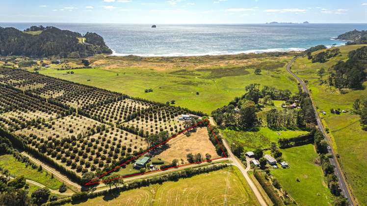 33 Orua Lane Hot Water Beach_1