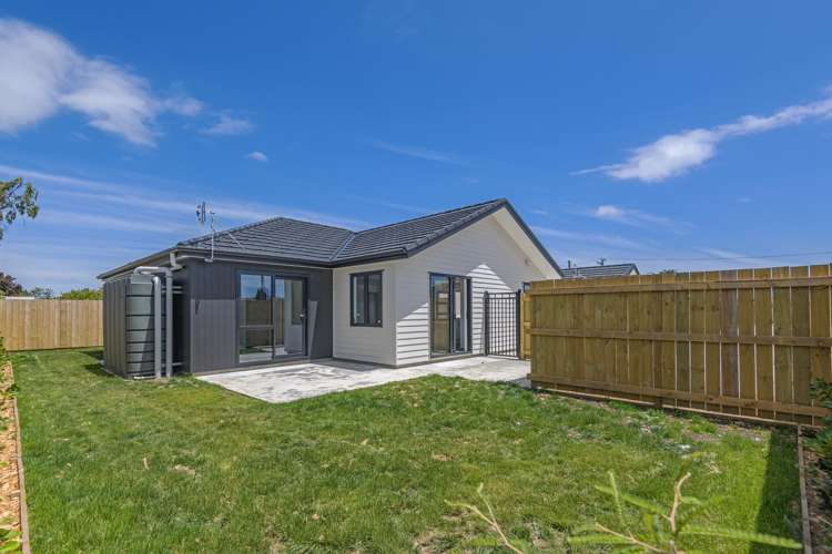 38 Hammond Street Bulls_18