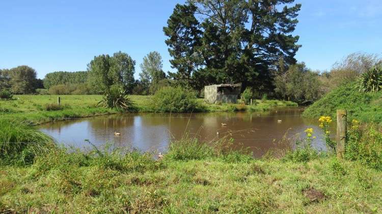 1276 Kakaramea Road Ngahinapouri_13