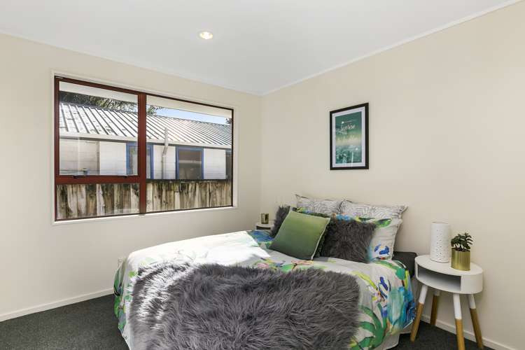 90b Holloway Road Aro Valley_6