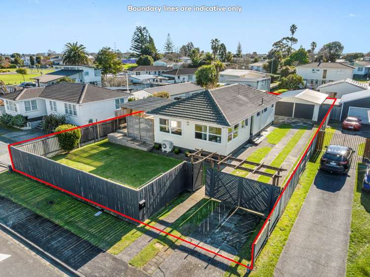 29 Sunnypark Avenue Rosehill_26