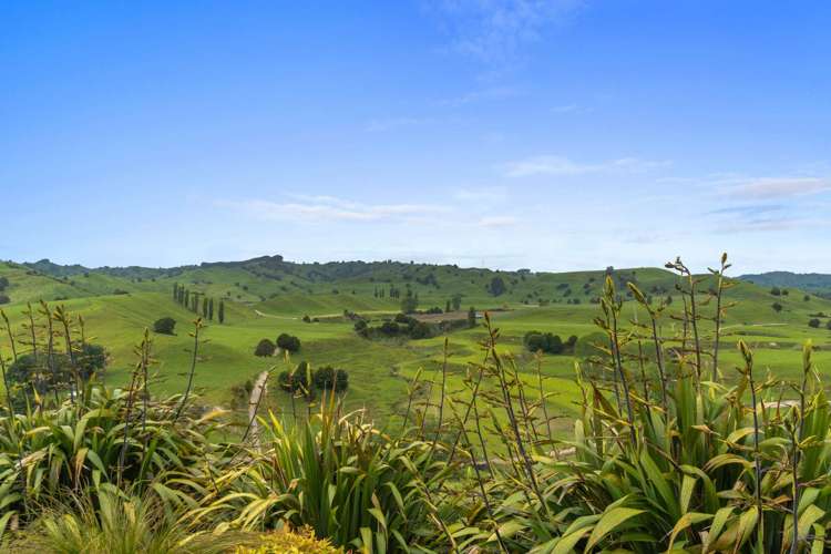 560A Hikumutu Road Taumarunui_32