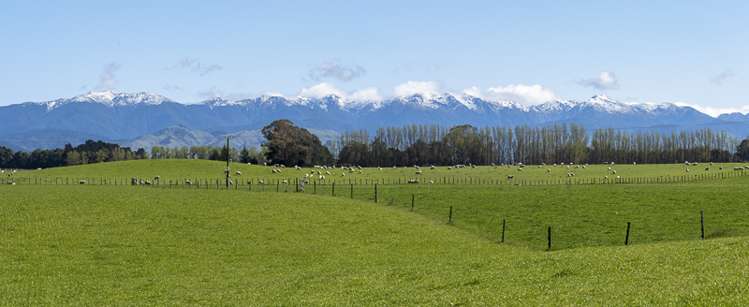 Lot 1, Lot 2 Cornwall Road East Taratahi_10