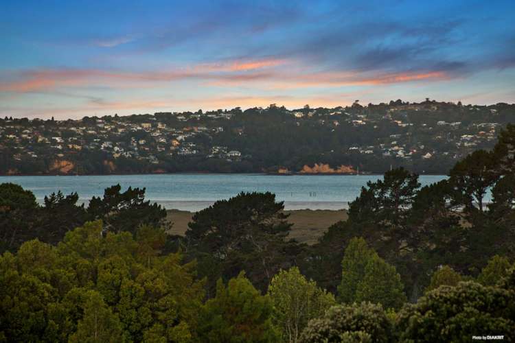 25 Petrel Place Massey_27