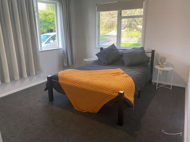 60 East Avenue Te Aroha_2