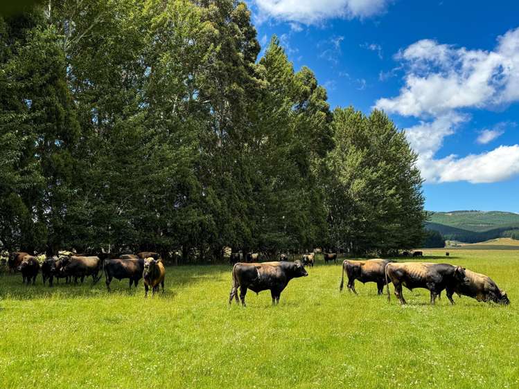 109 Affleck Road Castle Downs_6