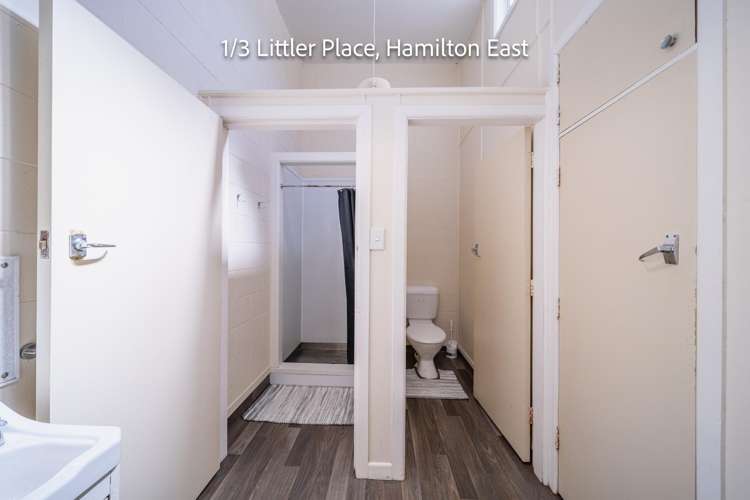 3 Littler Place Hamilton East_15