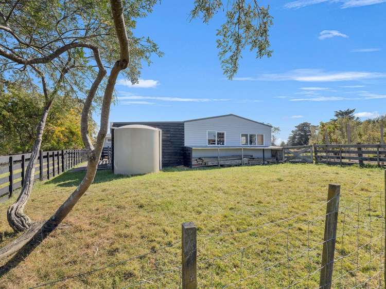 371 Tutaki Road Bunnythorpe_21
