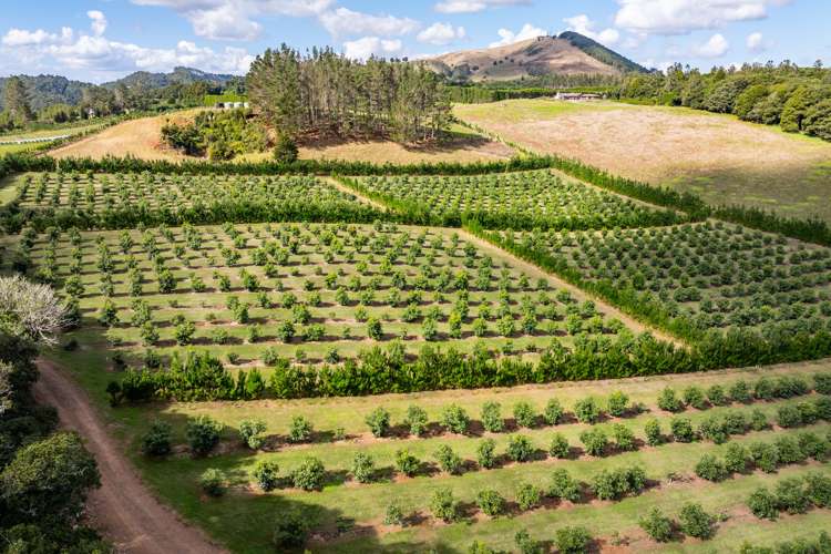 66 Kokopu Block Road Maungatapere Whangārei Rural Property For