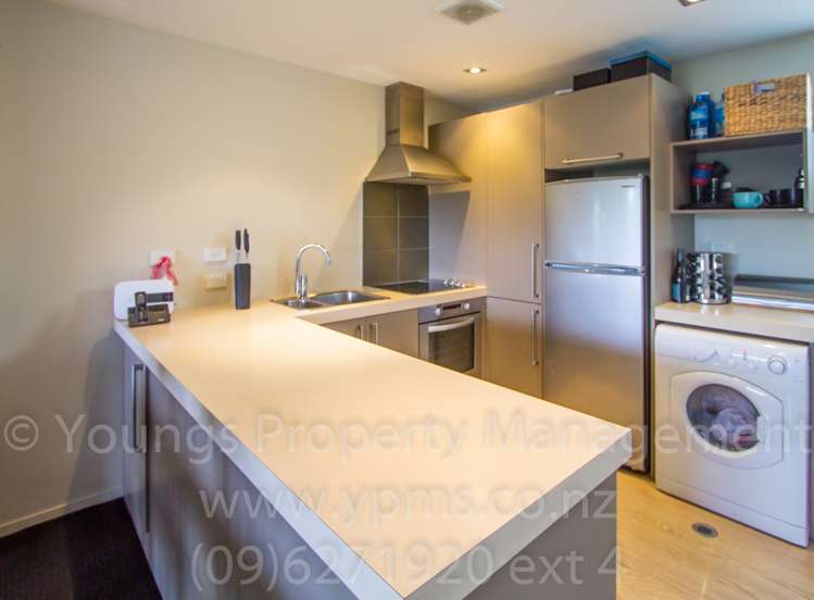 1a Queenstown Road Hillsborough_2
