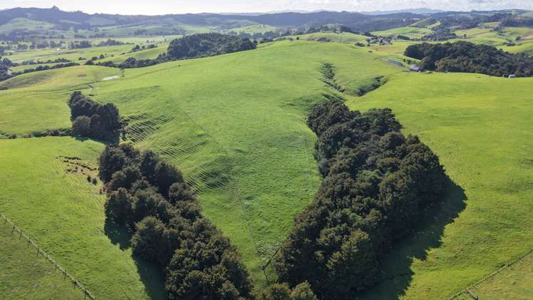 256 McIntyre Road Oromahoe_6