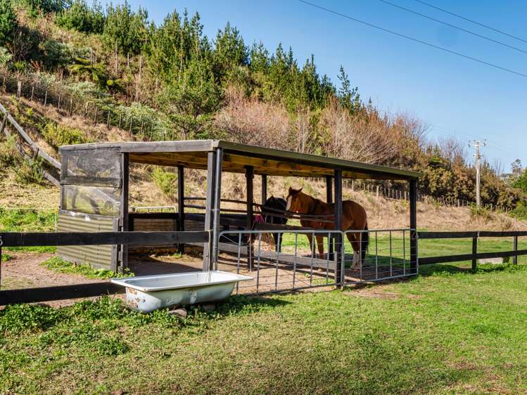 402a Crawford Road Wairoa_26