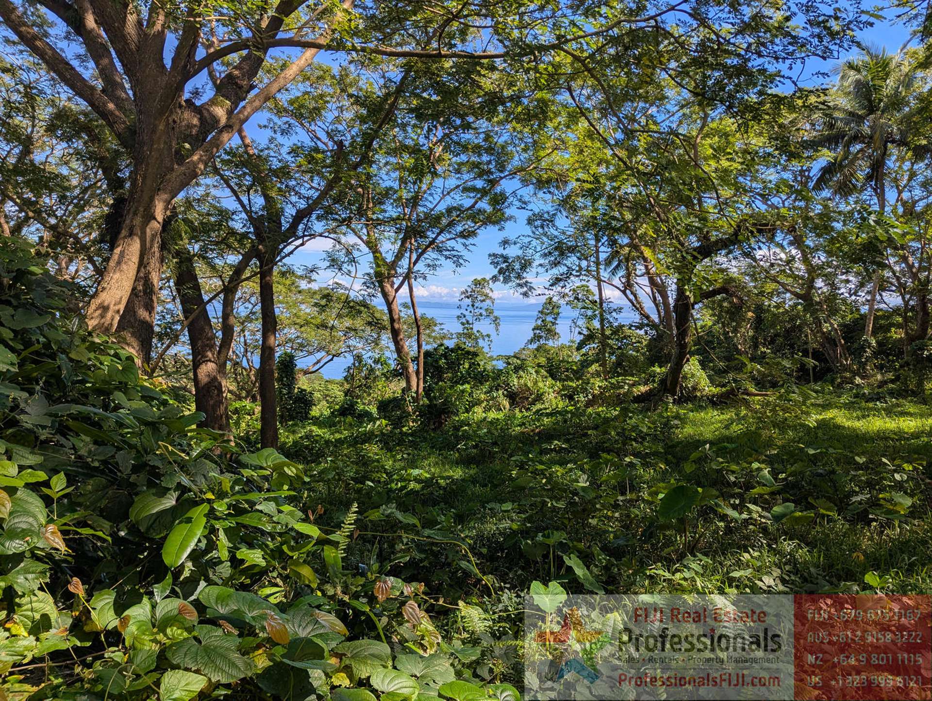 Address withheld Taveuni_0