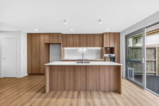 2/1 Teddy Street Whitiora_1