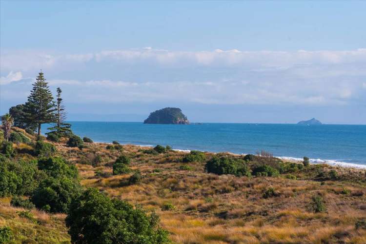 239A and B Oceanbeach Road Mt Maunganui_14