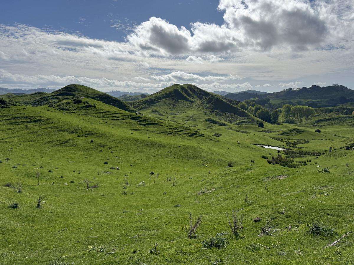 268a Tiriraukawa Road_3