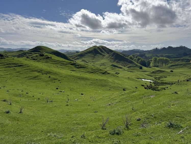 268a Tiriraukawa Road Taihape_7