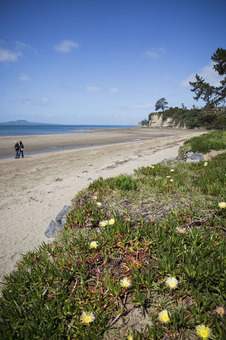 11d Dianthus Place Browns Bay_16