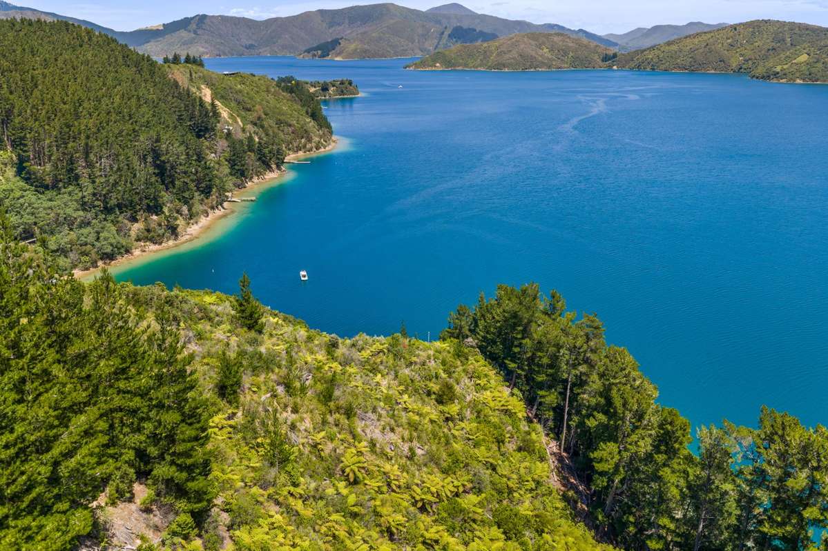 Lot 15 Bay of Many Coves_0