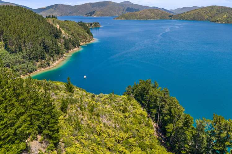 Lot 15 Bay of Many Coves_0