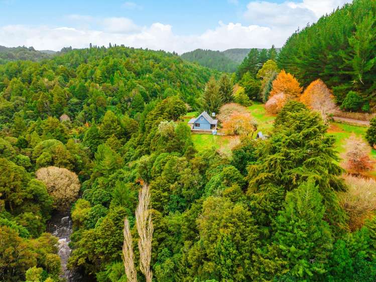 2005 Ongarue Stream Road Waimiha_24