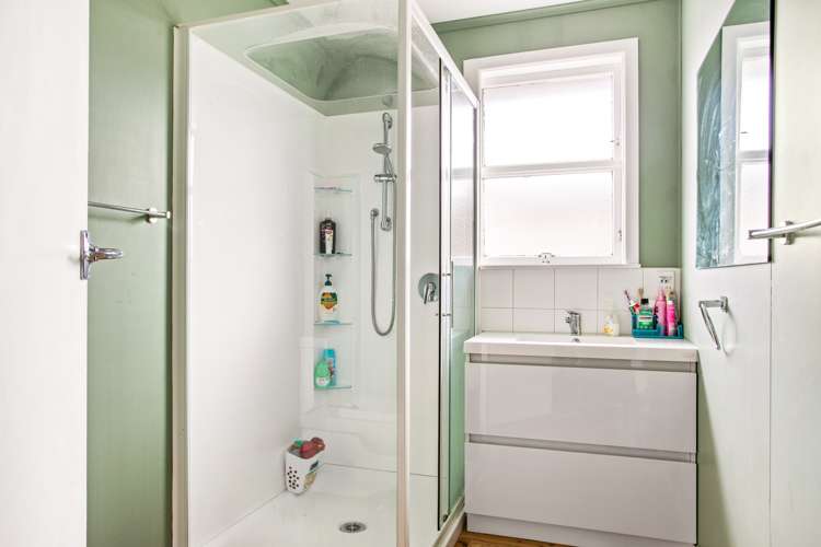 207 Harris Street Inner Kaiti_10