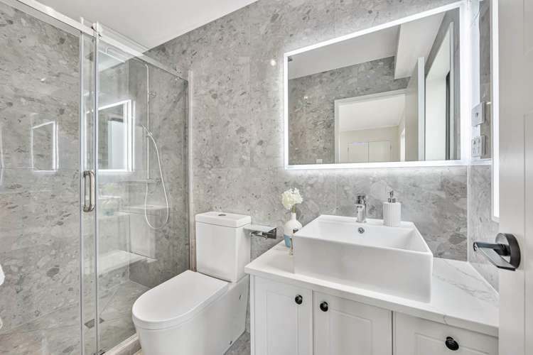 22 Tannaghmore Drive Flat Bush_21