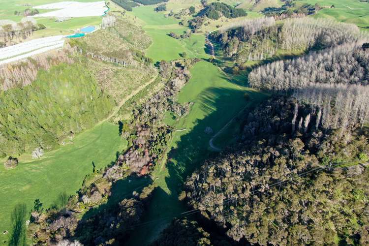 Maniatutu Road Pongakawa_14