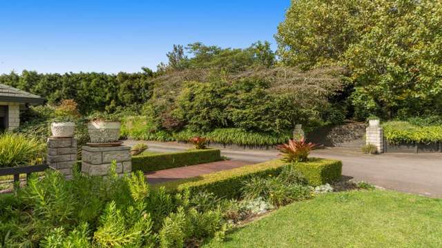 648c Esdaile Road Whakamarama_3