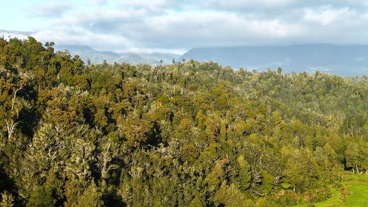 LOT 1 Granite Creek Road_3