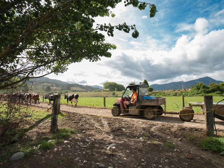 660 Matiri Valley Road Kahurangi National Park_11