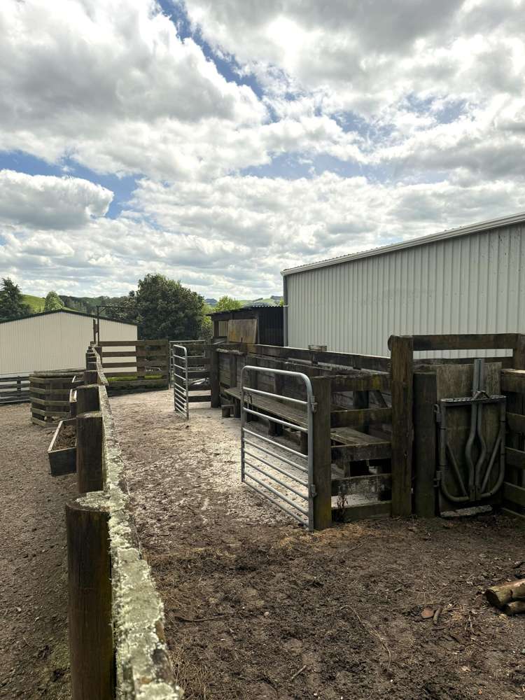 128 Taotaoroa Road Matamata_12