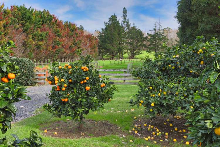 83 Tara Road Mangawhai_20