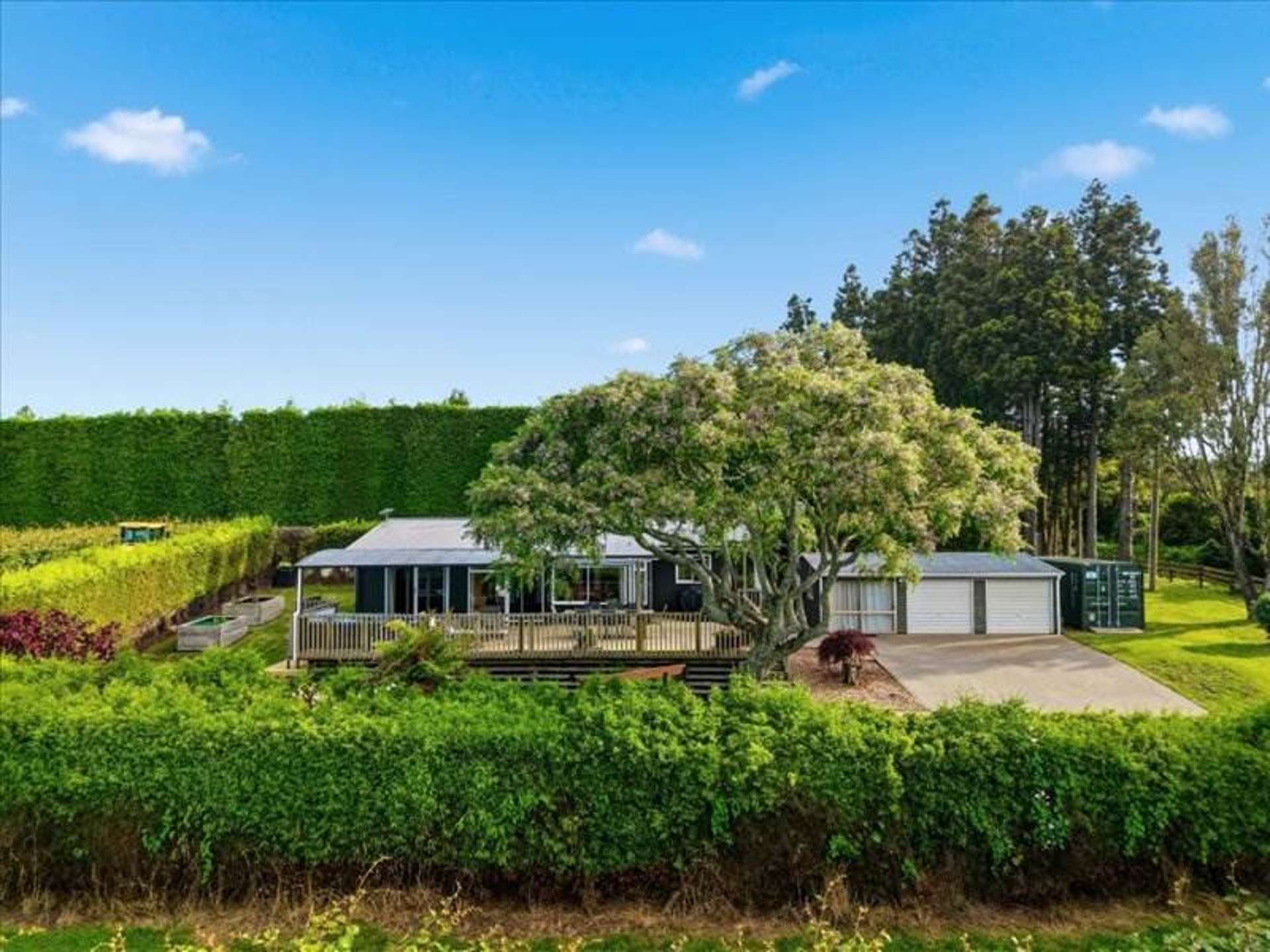 395 Youngson Road Whakamarama_0