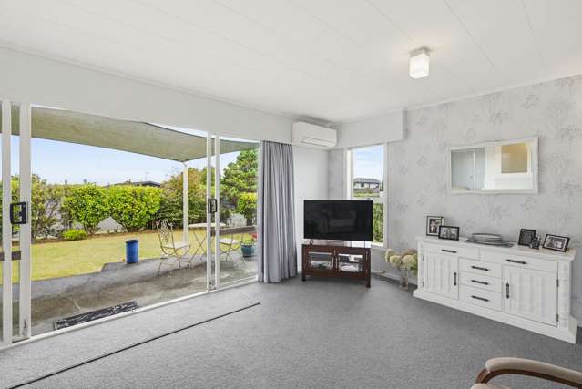 24 Featherston Street Levin_2