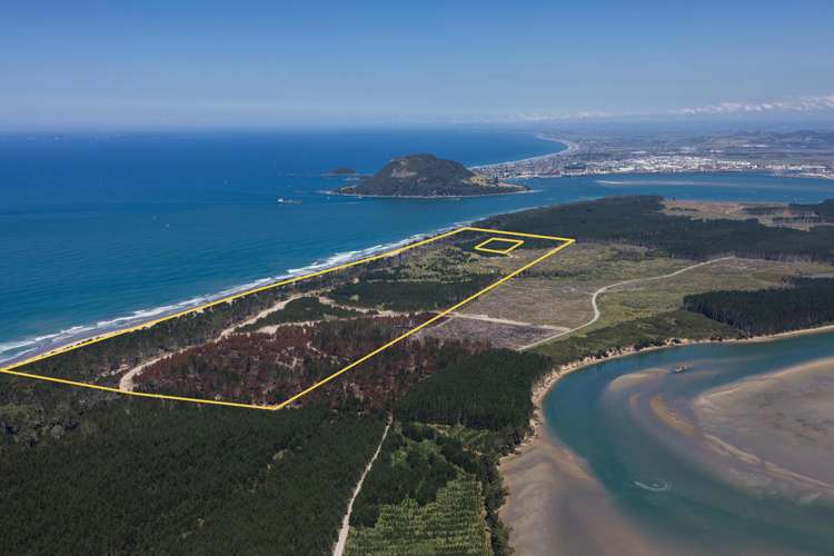 205 Matakana Island, 148 HA Matakana Island_13