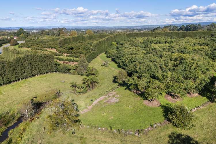 222 Wharawhara Road Katikati_16