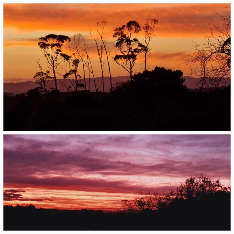 128E Mauku Road Patumahoe_29