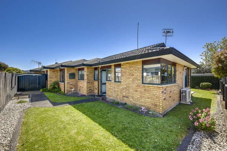 28b Auckland Road Greenmeadows_13