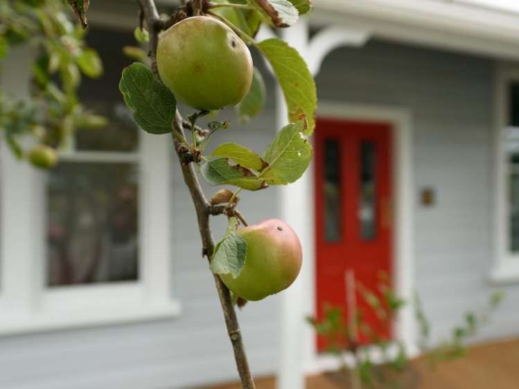 14 Luxford Street Berhampore_14