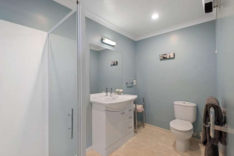 17 Saddleback Green Halswell_19