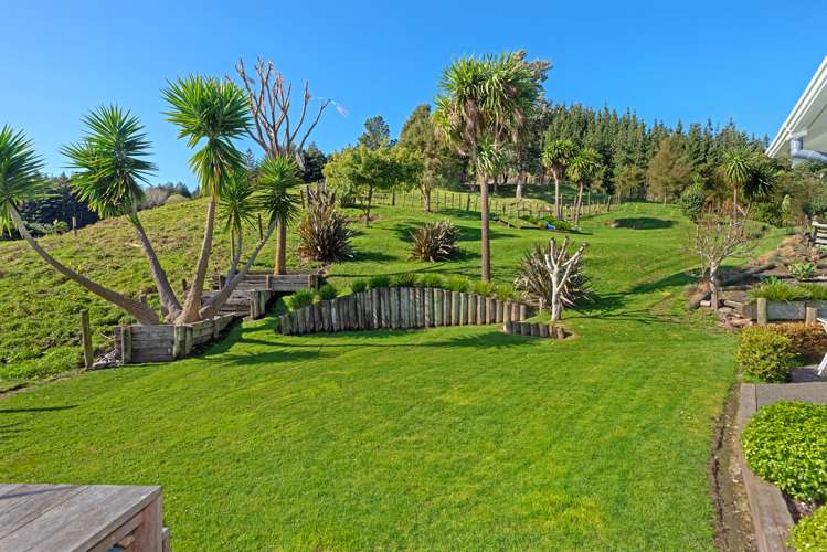 50 Shelley Road Whataupoko_33