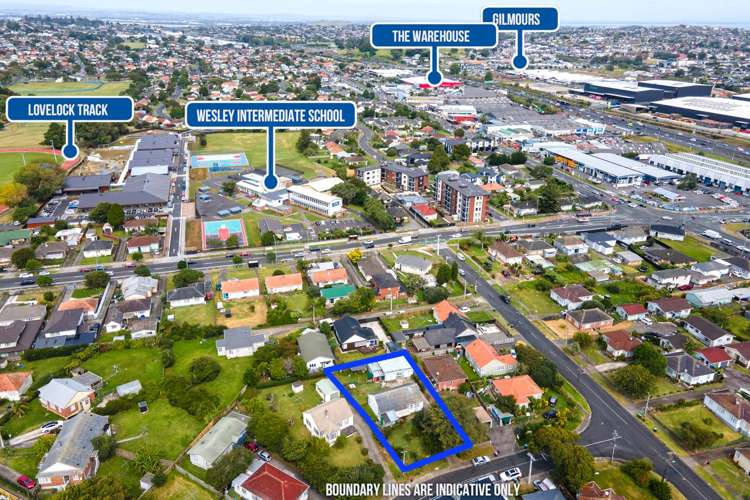 54 Potter Avenue Mt Roskill_7