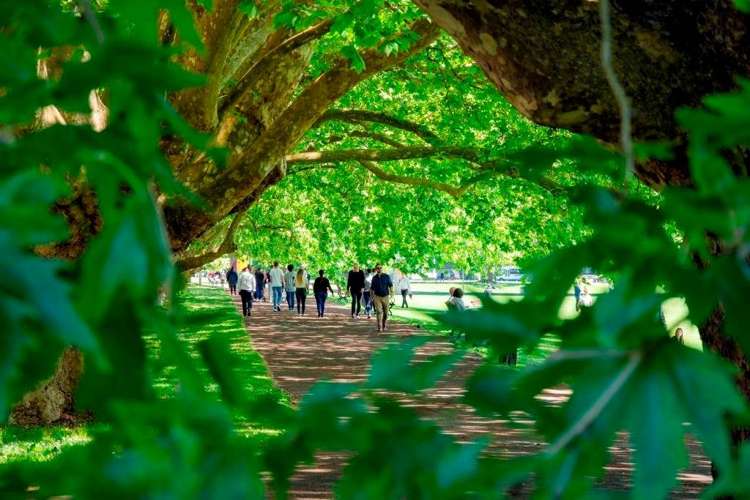 5/8 Dock Street Freemans Bay_14