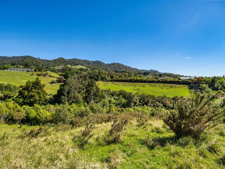 383 Busby Road Katikati_35