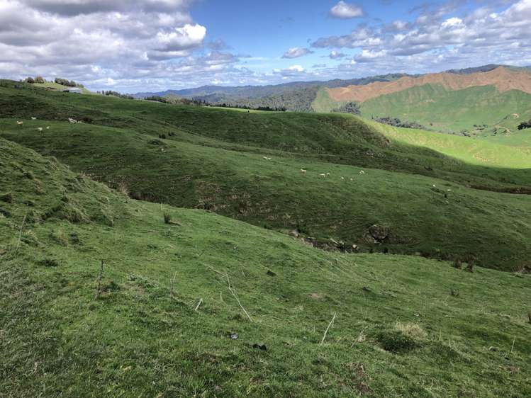 1041 Paparoa Road Whanganui National Park_14