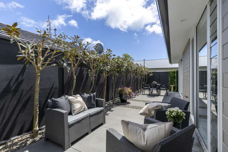 175A Carrington Street Lower Vogeltown_5