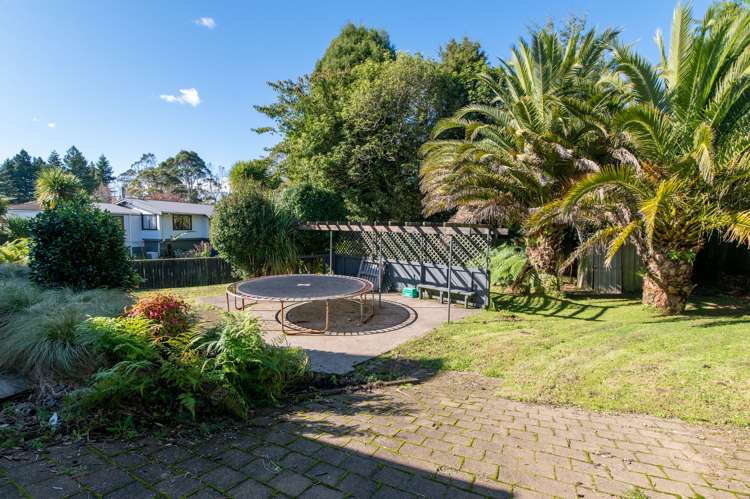 46 Moncur Drive Springfield_18