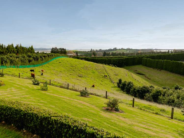 24c Pahoia Road Whakamarama_12