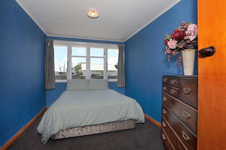 11 Ward Street Bulls_6